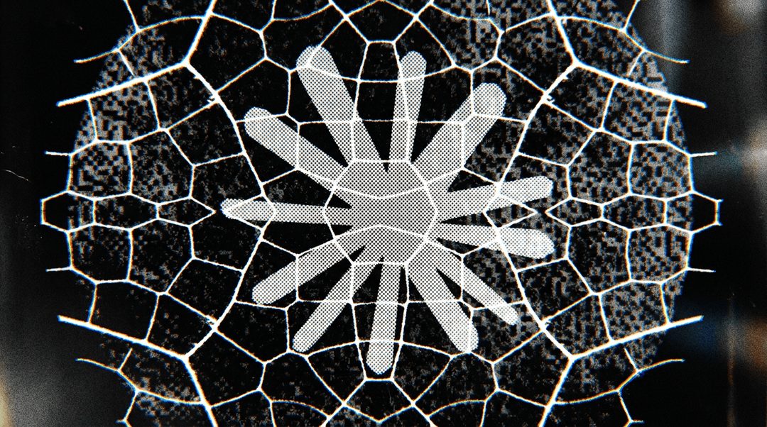 model_release-03.jpg